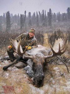 wta_148_6A3DG4_012_Moose-7