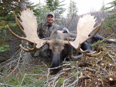 wta_148_6S8EMJ_Moose