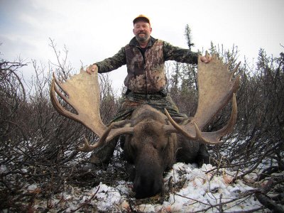 wta_148_IGO88S_012_Moose-2