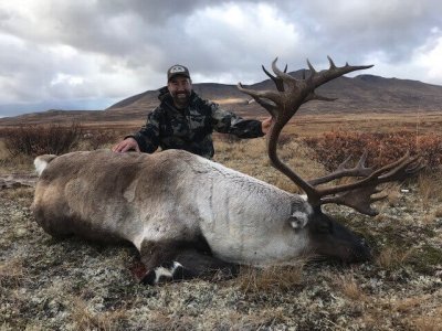 wta_148_MUUNUH_caribou