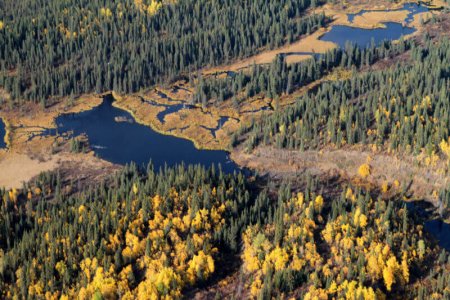 wta_148_SJBGWQ_Fall2012015_edited-1