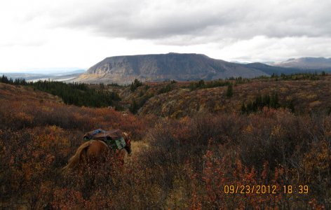 wta_148_UQSNVM_Fall2012074_edited-1