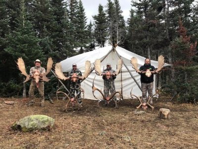wta_148_X0C3EP_moosehunters