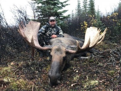 wta_148__featured_KP7ZK0_moose2