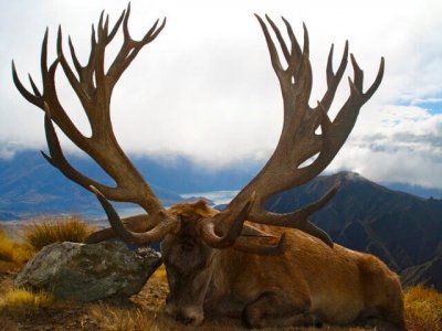 wta_1493_7WWFOZ_mtcookmtcook082