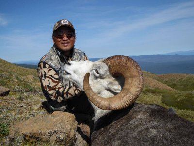 wta_149_4IID67_TahltanSheep3
