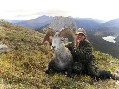 wta_149_5HODUA_012_Sheep-16