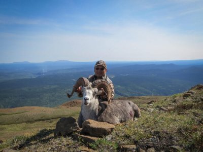 wta_149_DK54GB_TahltanSheep5