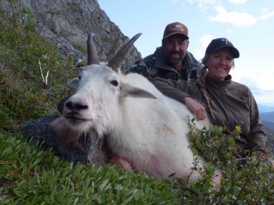 wta_149_F48WEN_goat1