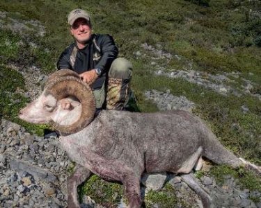 wta_149_HSMH0N_BC_012StoneSheep(5)