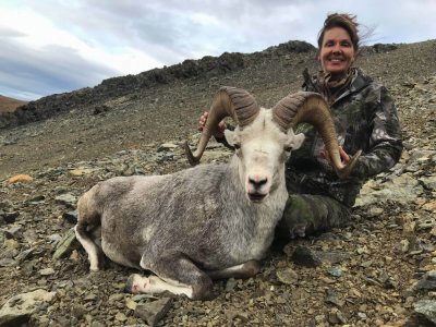 wta_149_JGF71H_TahltanSheep4