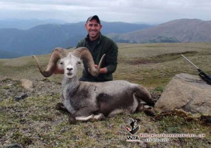 wta_149_MUDODF_012_Sheep-1