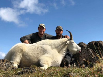 wta_149_NYN39I_goat2