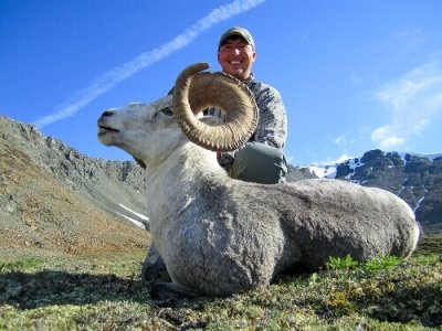 wta_149_Q9Y04K_BC_012StoneSheep(2)