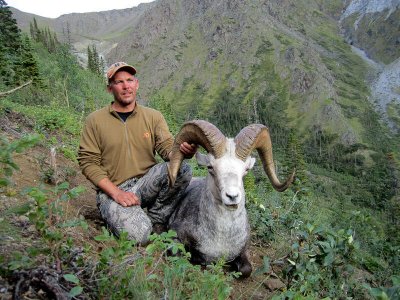 wta_149_R3BXZ8_012_Sheep-25