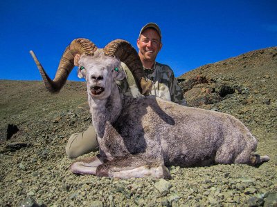 wta_149_SKTBGM_012_Sheep-24