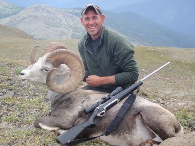 wta_149_YU5M66_012_Sheep-2
