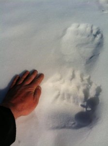 wta_1521_2XKZKO_IMG_1041