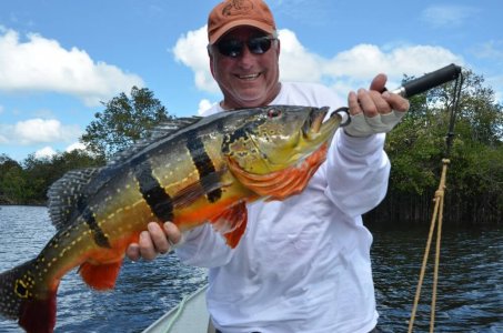 wta_1529_fish1