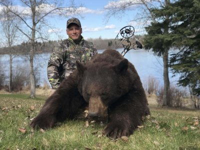 wta_1531_black_bear_File_0013