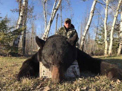 wta_1531_black_bear_File_010