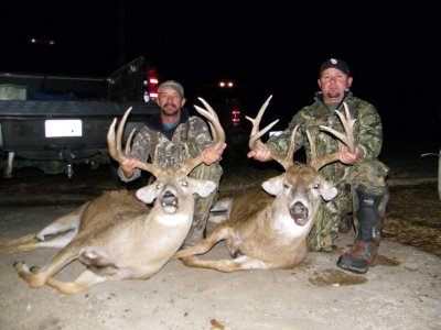 wta_1534_SER0CB_sixstar2deer
