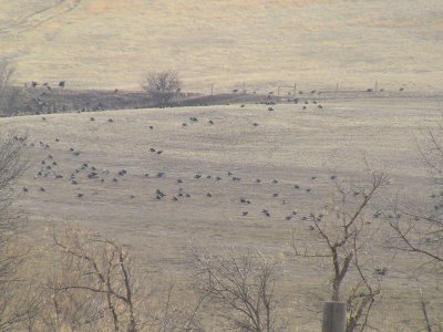 wta_1540_PMB6AZ_IMG_1289
