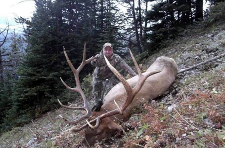 wta_1552_BH86VX_elk5