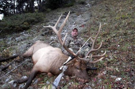 wta_1552_H10P7E_elk3