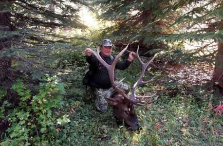 wta_1552_PPWLK0_elk2