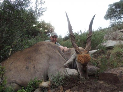 wta_1566_N4JFWJ_JTSwick-eland