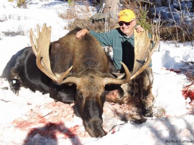 wta_156__featured_L1EATR_WY_01Moose(1)
