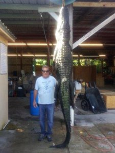 wta_1570_9083QB_Gator5