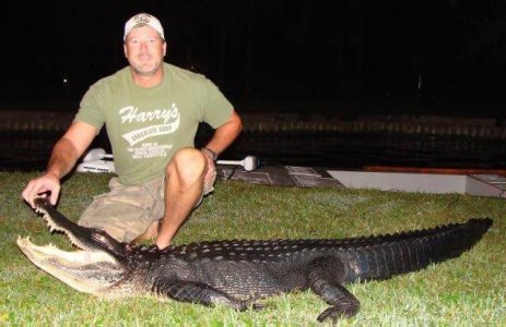 wta_1570_PGPDWV_Gator1