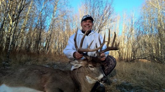 wta_1582_7KEQZC_Johnsdeer