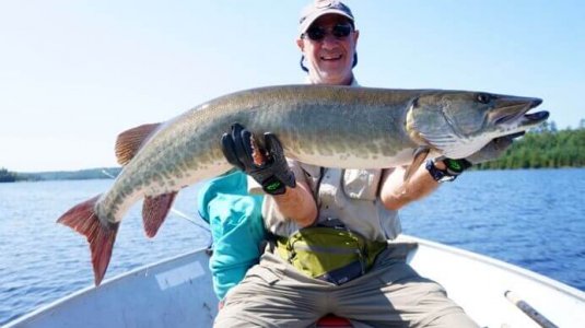 wta_1585_NZF5J3_muskie