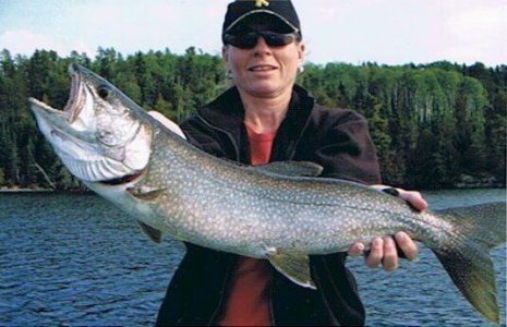 wta_1585_PMDSO8_Laketrout