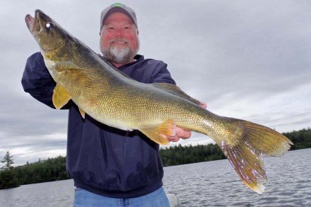wta_1585_S33F3U_walleye3