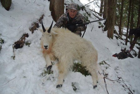 wta_1595_O9C8DB_MtnGoatLateSeason