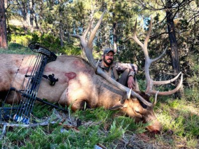 wta_1596_elk-11