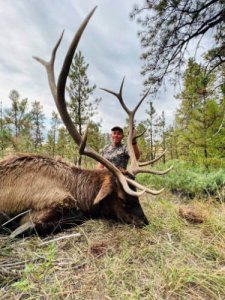 wta_1596_elk-3