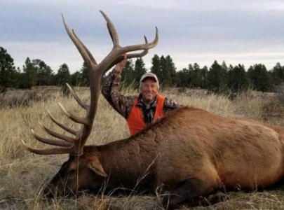 wta_1596_elk-4