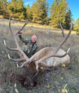 wta_1596_elk-5