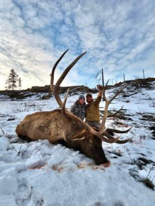 wta_1596_elk-7