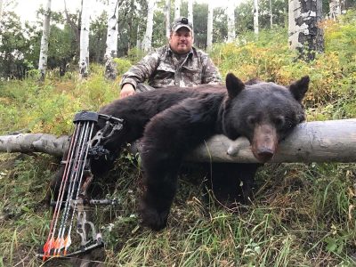 wta_1601_8O3C4W_ColoradoblackbearNL