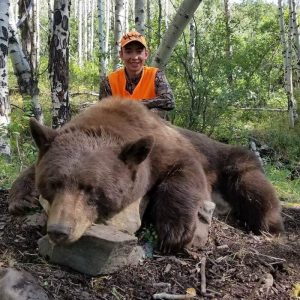 wta_1601_KMBKL2_Unit61BearNL
