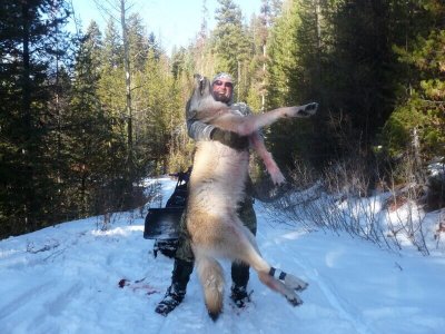 wta_1603_6Y6T75_Wolf