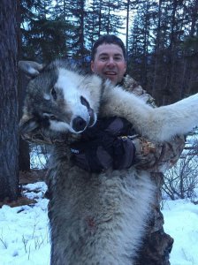 wta_1603_Q619H5_AaronAndersonWolf2