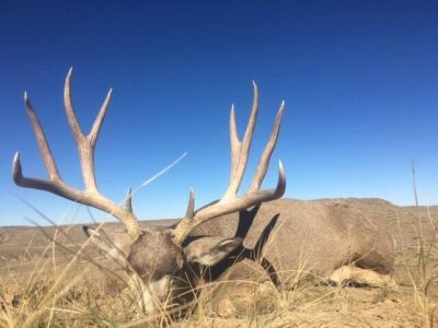 wta_1606_0QNGZ9_2017DeerSeason(2)