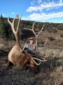 wta_1610_GOSHUTE BULL #10 - '22
